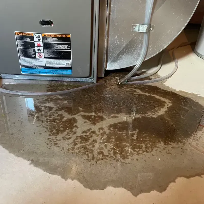 Appliance Leak Cleanup in Holliday, TX